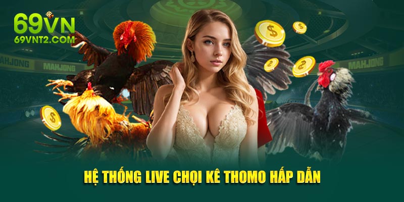 Hệ thống live chọi kê Thomo hấp dẫn