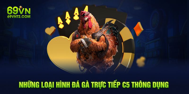 Những loại hình đá gà trực tiếp C5 thông dụng